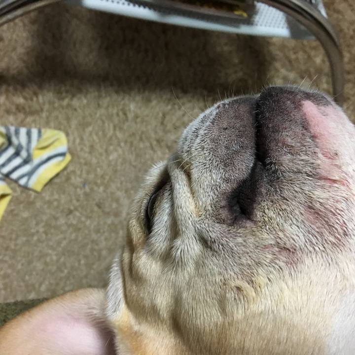 Ce64174a baff 4a18 9da9 3bd2c1636066