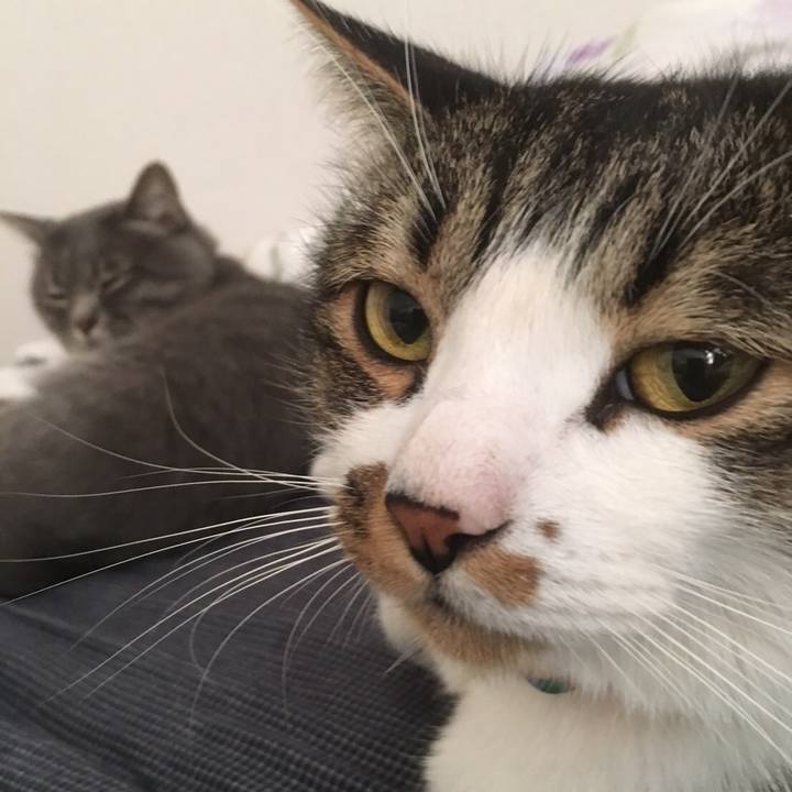 Ce64773e 0c37 4603 809b 6e4fc8f99013