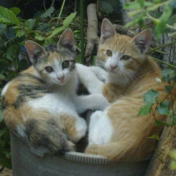 Ce649286 0f5f 40a3 baff c27c798bfb1c