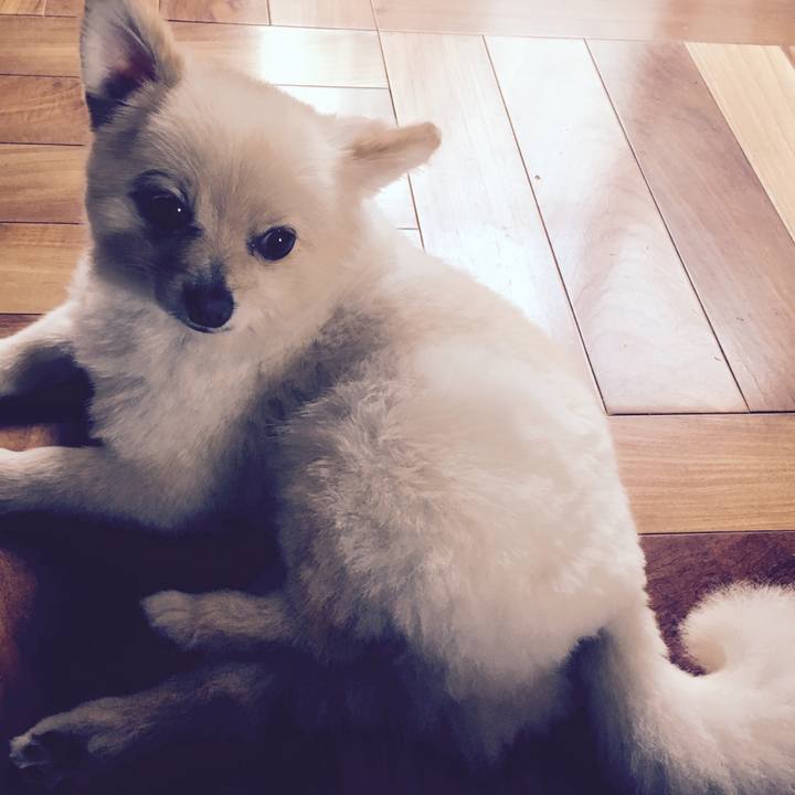 Ce64a773 b7df 4f0a b9c3 22da020bf28d