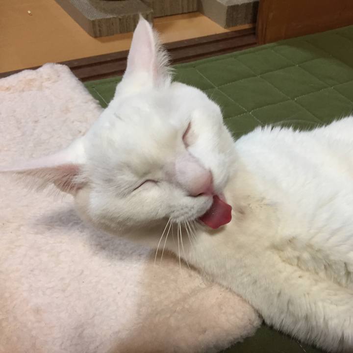 Ce64ce1d c04c 4549 aeaa 23a3b6e13a42