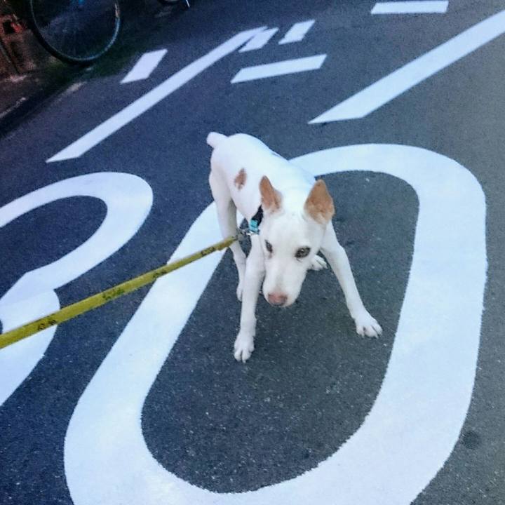 Ce64e057 b7d3 4cad a8b3 22826ac57dfc