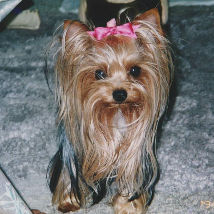 Ce660e63 3fda 4a2b b9a8 469b18127542