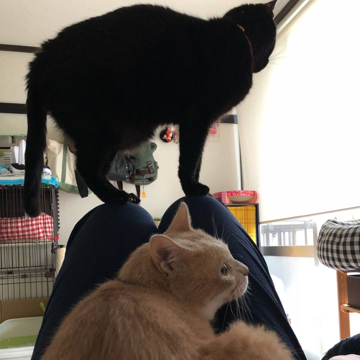 Ce66927f f94d 414c 9b64 4becb5329218