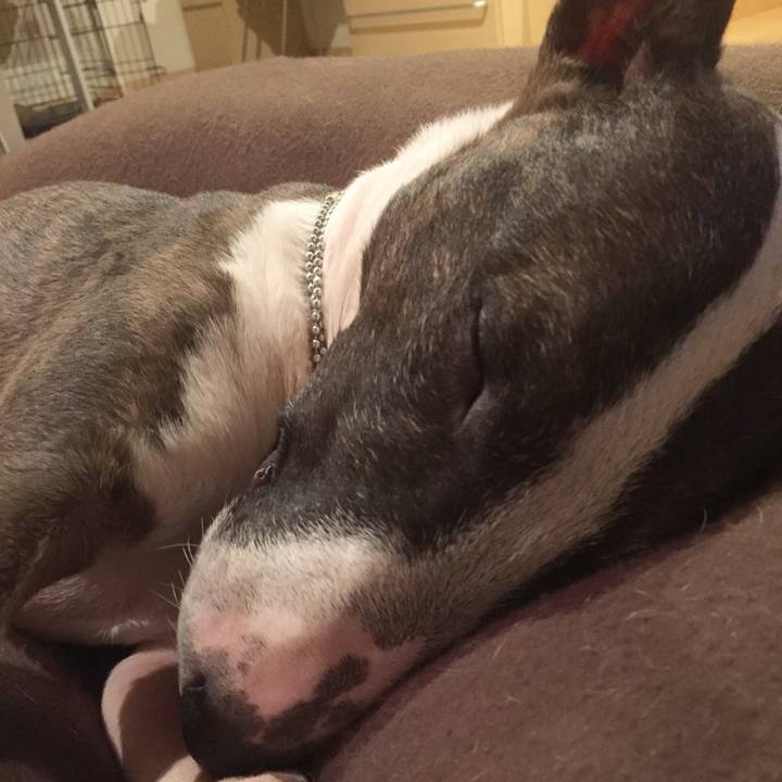 Ce671446 937a 4449 9fb5 83e9707b71ee