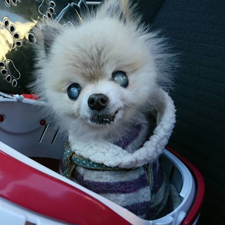 Ce67aed7 28ca 435b a0e7 93745abad47b