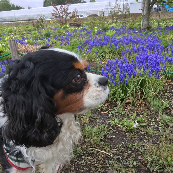 Ce67bdc2 1156 4098 9ffb 4733b8a282d9