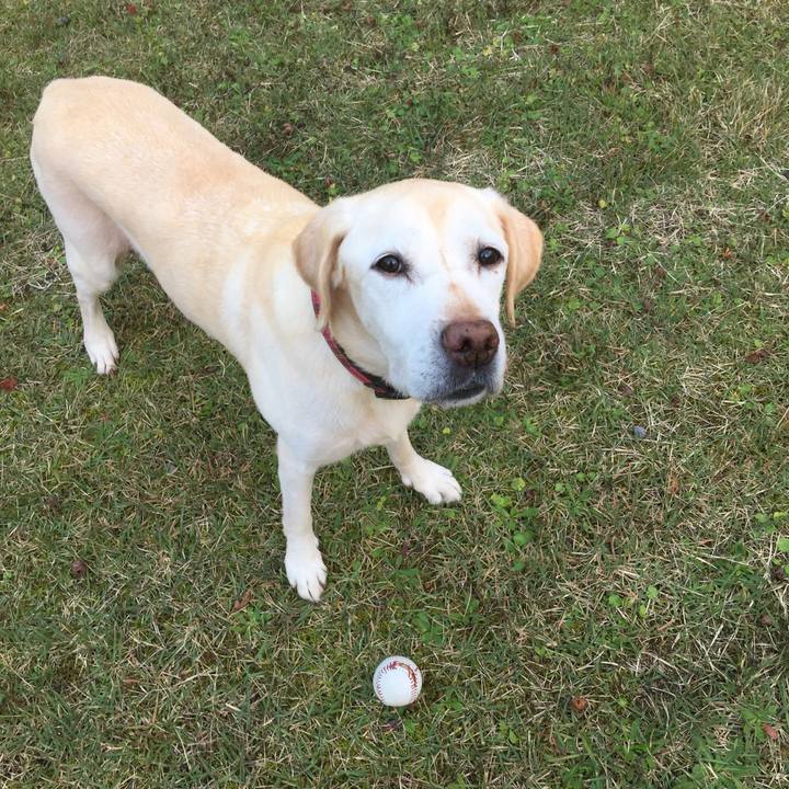 Ce67bea9 8e89 4176 9155 08c06503b1a8