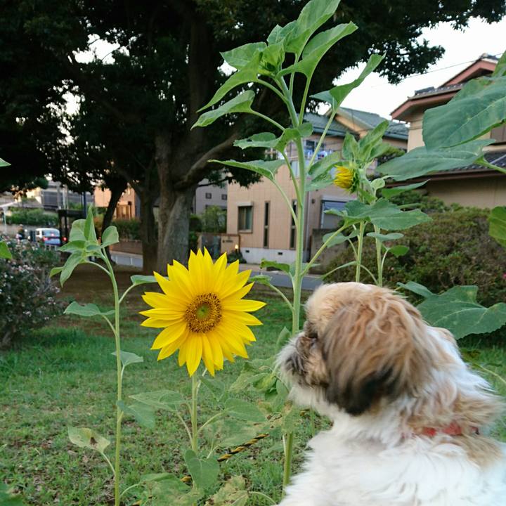 Ce67c916 276a 4228 9fc2 da668bc539a6