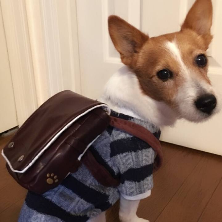 Ce69c3fe 67ae 4fcc 80a7 0b06dc2f1833