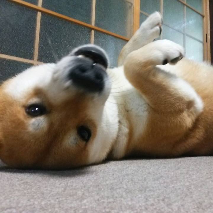 Ce69fa23 439b 479c afca c6923fa66574