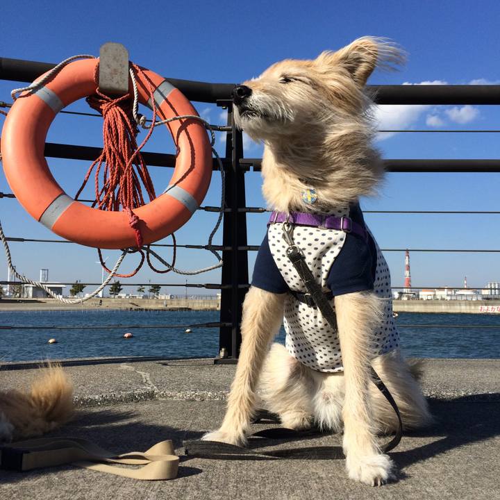 Ce6a3ba2 02c9 43b7 86f3 580929079c26