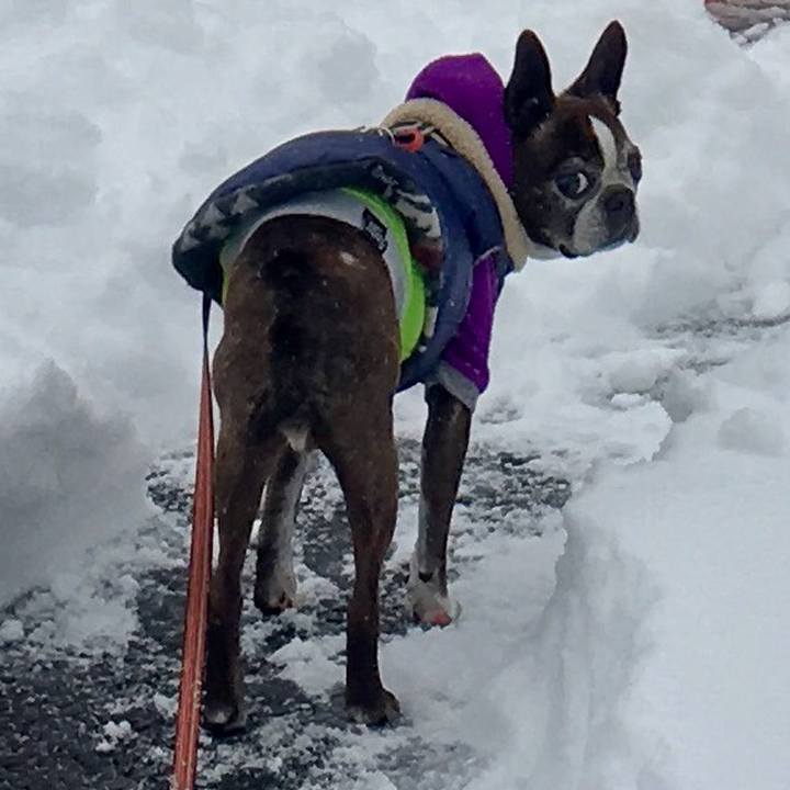 Ce6a60bd c03b 4f32 9a57 052348e9eb88