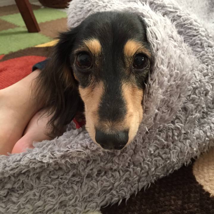 Ce6bed74 c944 4b37 80c2 dfe21c159b73