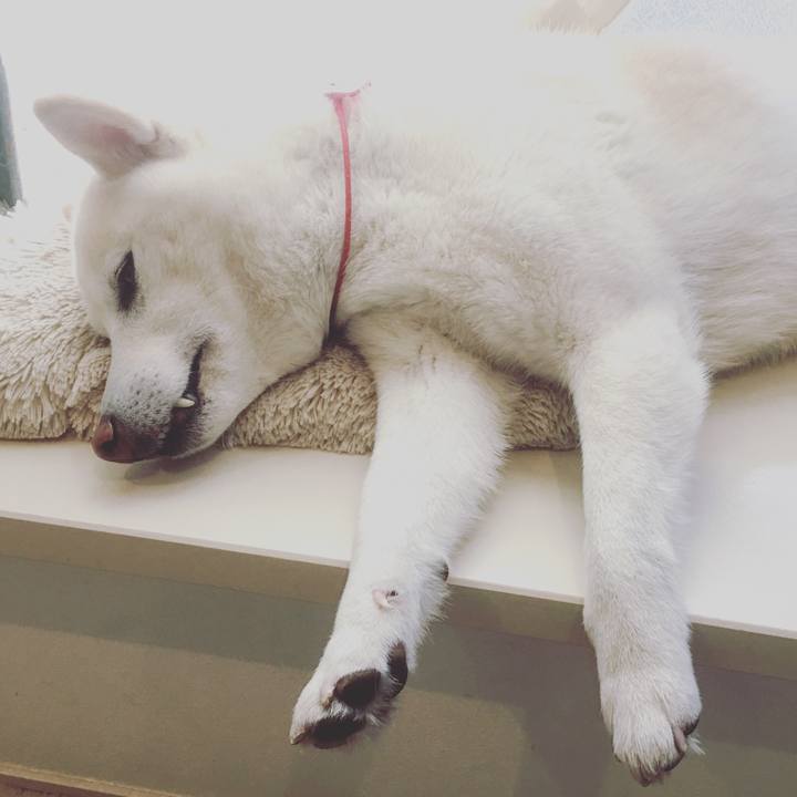 Ce6c0de6 f860 4f9c a253 9eb00ce9f940