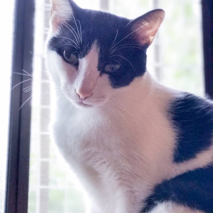 Ce6d5d86 30a9 4f78 b927 24abae122f80