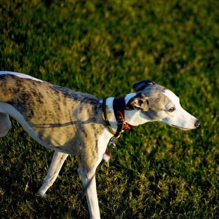 Ce6e5a04 c05f 4e62 9586 9f656680004d