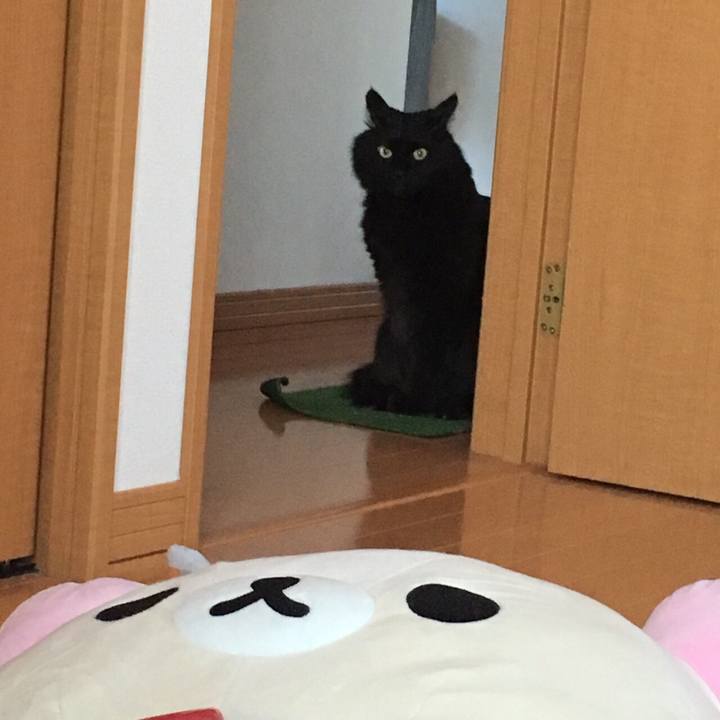 Ce706c87 d83e 445f 83ce 4d80d64db10d