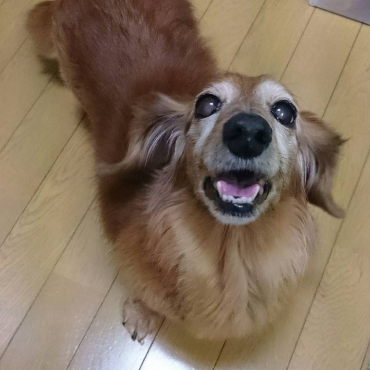 Ce70f348 2c3b 497a 9cc3 e0ec2142296d