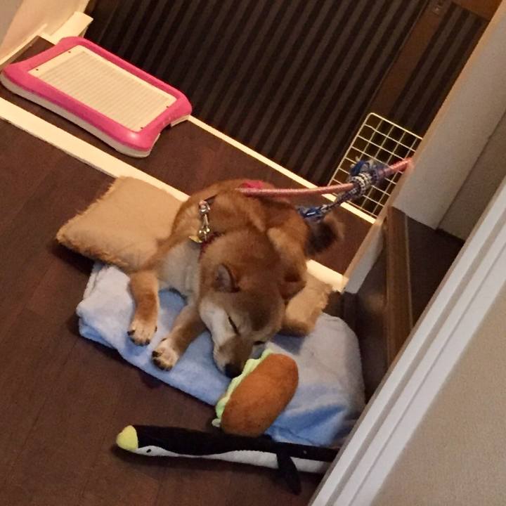 Ce717045 e4cb 4e7b b672 e1683547505c