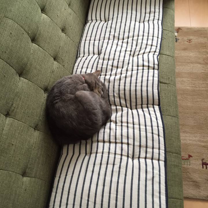 Ce71abeb 9709 4874 924c 8e1bdcf25632