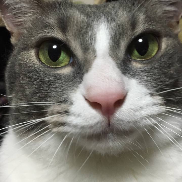 Ce7253eb bf40 4fcb 8596 02f3d9232dda