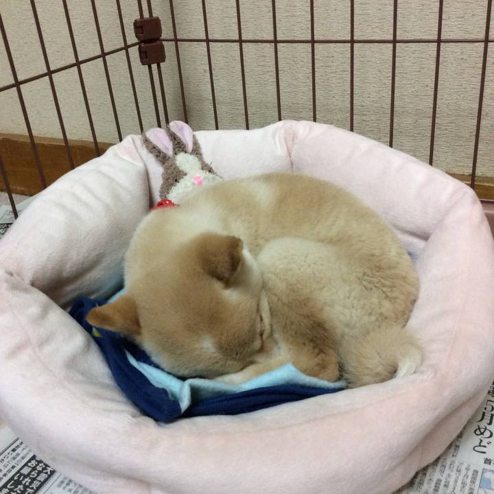 Ce72e50c c747 4786 ab04 61648808c5b8