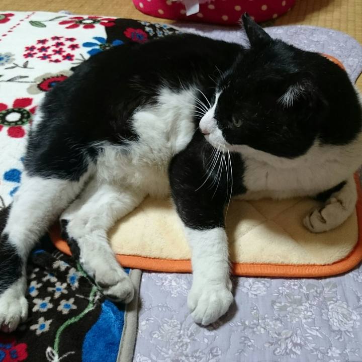 Ce72f7bd 7451 414b a465 b664c003ebc5