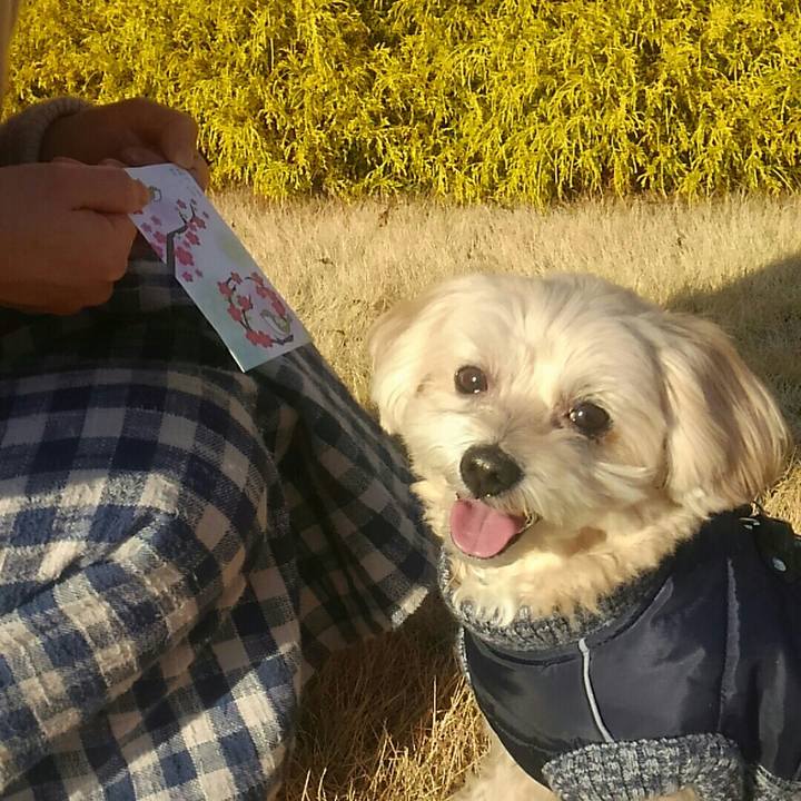 Ce732e41 35c7 4e2e af82 aa6d95e29b48