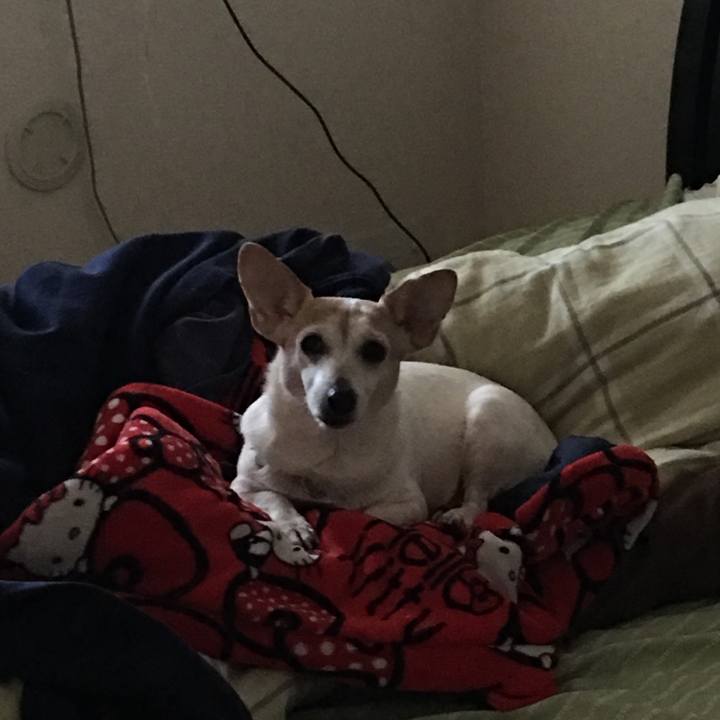 Ce745964 930c 4b86 a5d6 21648b63a5cb