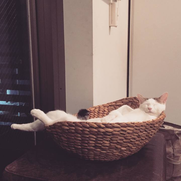 Ce74b622 8611 465e b2d0 782983531f07