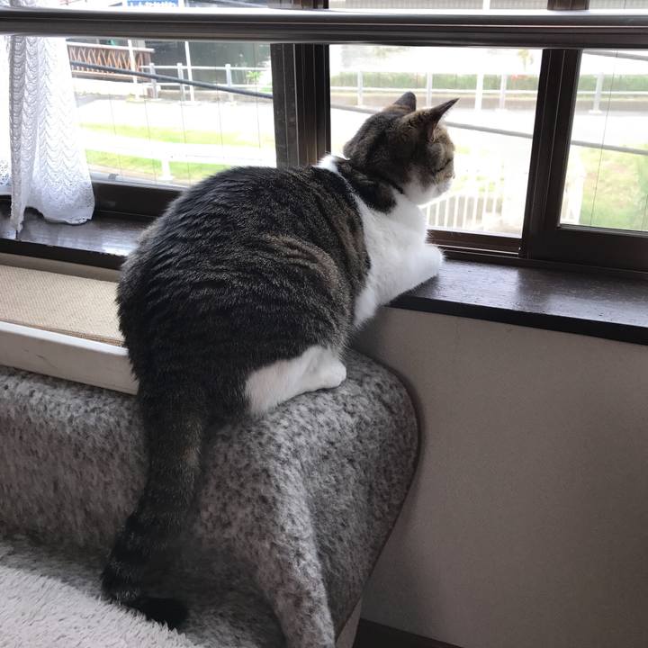 Ce74e7c6 ae21 4105 b733 c31236e5932b