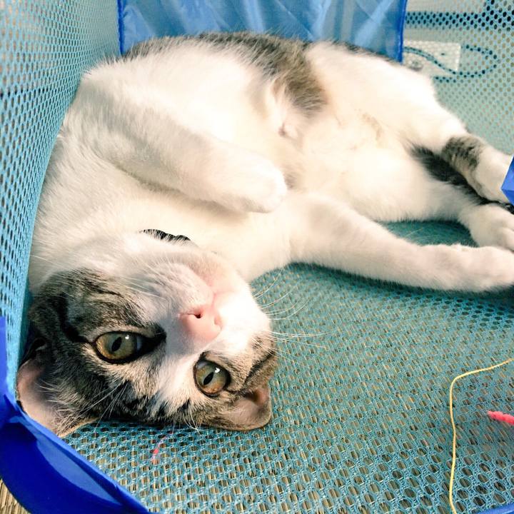 Ce74ff2a 8dea 451d 88c1 3db75bba0f53