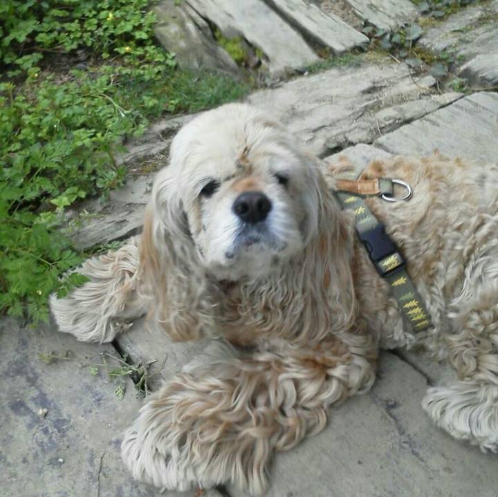 Ce75353e 753a 45b8 8fea 1d938ad3cb68