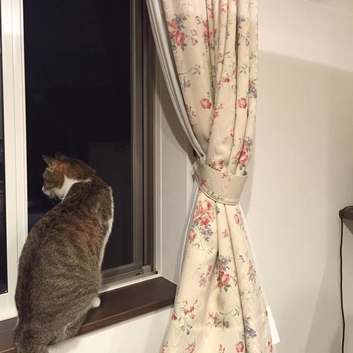 Ce755f11 1ce9 4472 963b bf9714d10da8