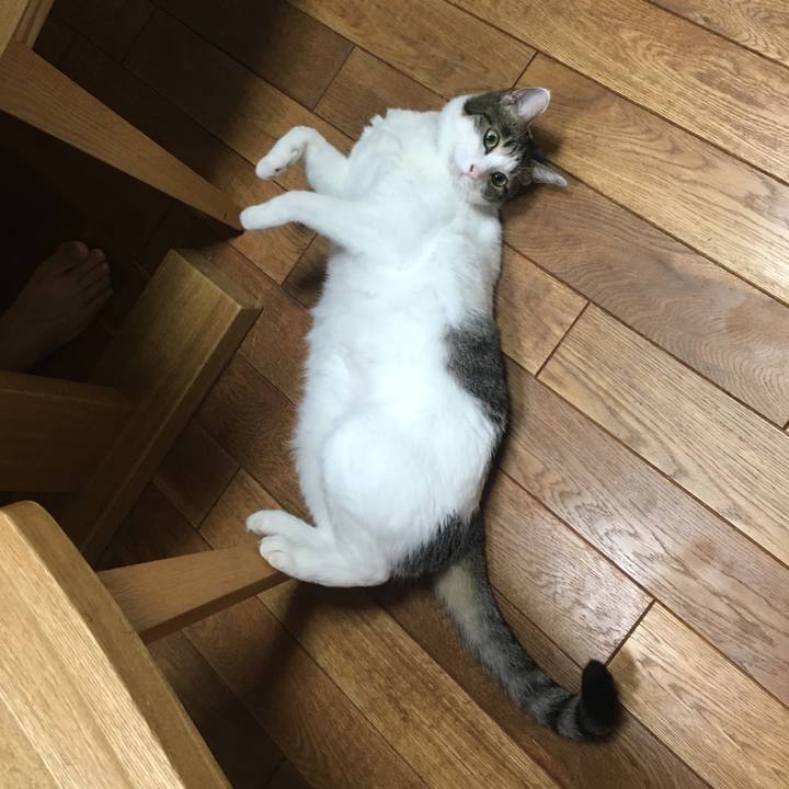 Ce758445 8852 445c 814e cc92fa803b08