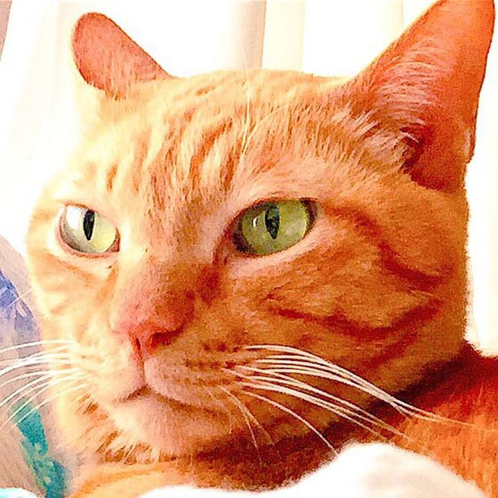 Ce758caf 17d0 43a8 8f12 c58a721c6aaa