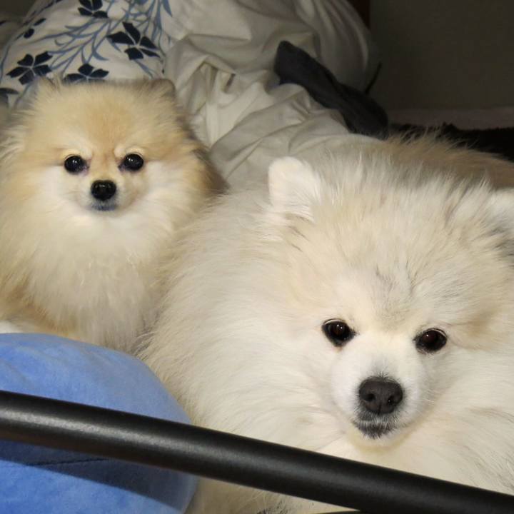 Ce76ccb5 584a 4aff 827f c7d94bc89ef2