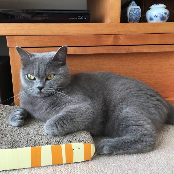 Ce771a28 0499 40d1 803d 84f167447470