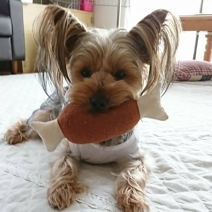 Ce771a51 e7d1 454e bb09 cc853925f4fb