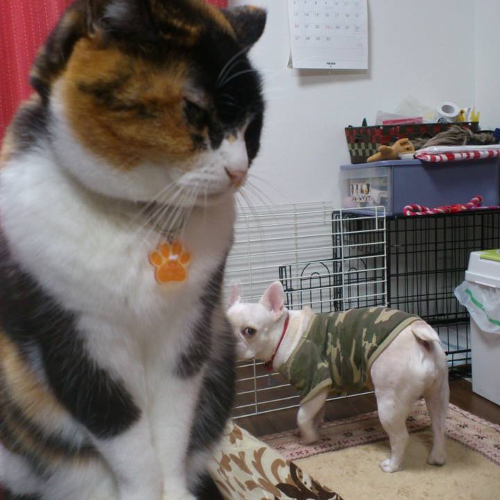 Ce773254 96b4 4469 beed eddf6295cc77