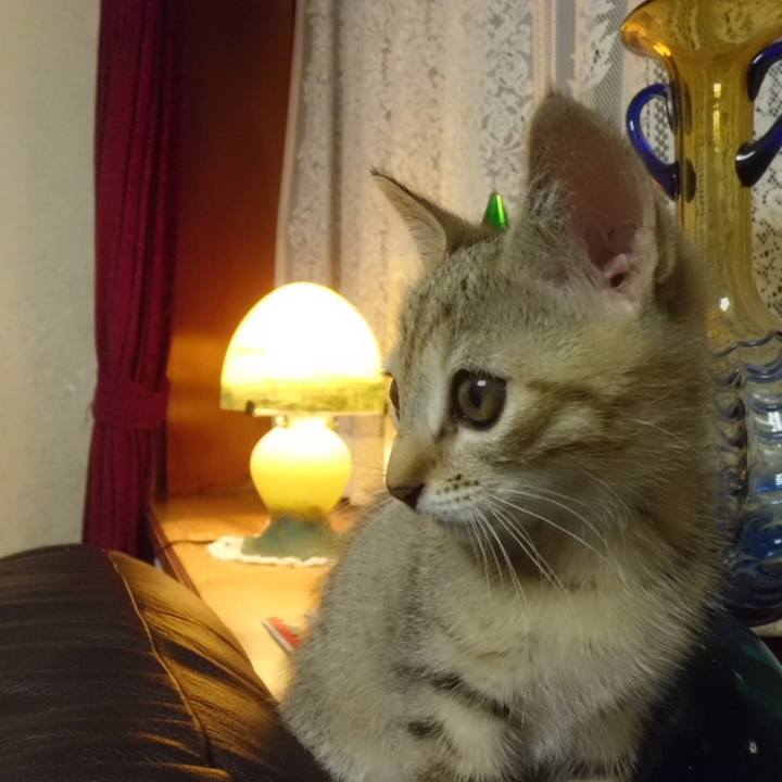 Ce773f1b 8667 4f6d b2e5 cceb9d1cfbb5