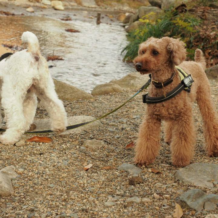 Ce781d31 e421 47e5 8bdb 0e4fab7a0785