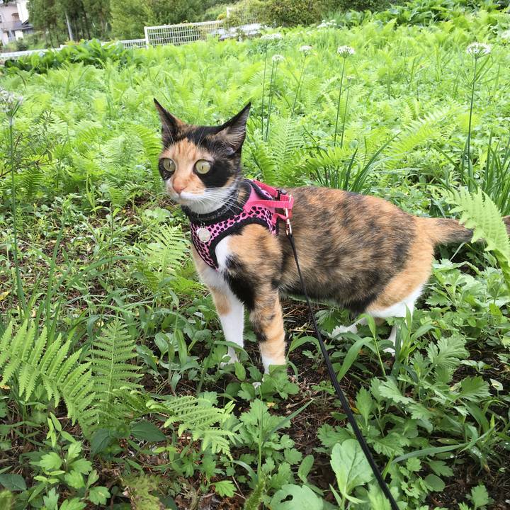 Ce783245 ea1b 4bef 80a1 1b5e1208d0d0