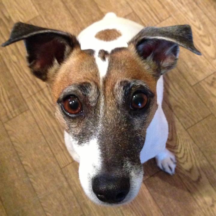 Ce7870fd 8dd9 4fc8 a1fb bb0a7eac5320