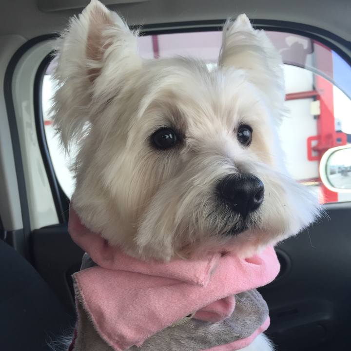 Ce78b6ab ee96 437a 9b9e b231873601ad