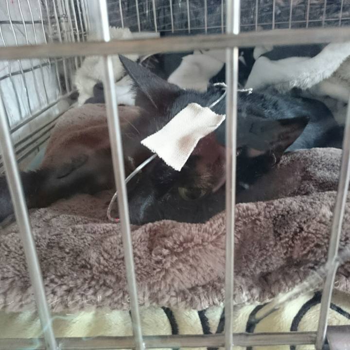 Ce790bd4 8244 44ea bc83 f532f974ac56