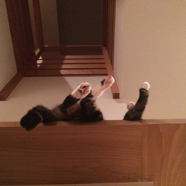 Ce7931df 00aa 4458 8b2b dd16f2bc0847