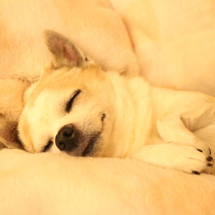 Ce7a4eee 44c3 4487 afaa 5c0978941821