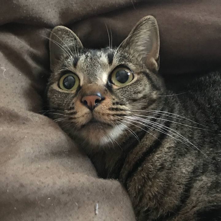 Ce7a9ffc 5e25 4c0d b429 7d43e7d8c606